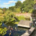 Hummingway Ranch Main Image