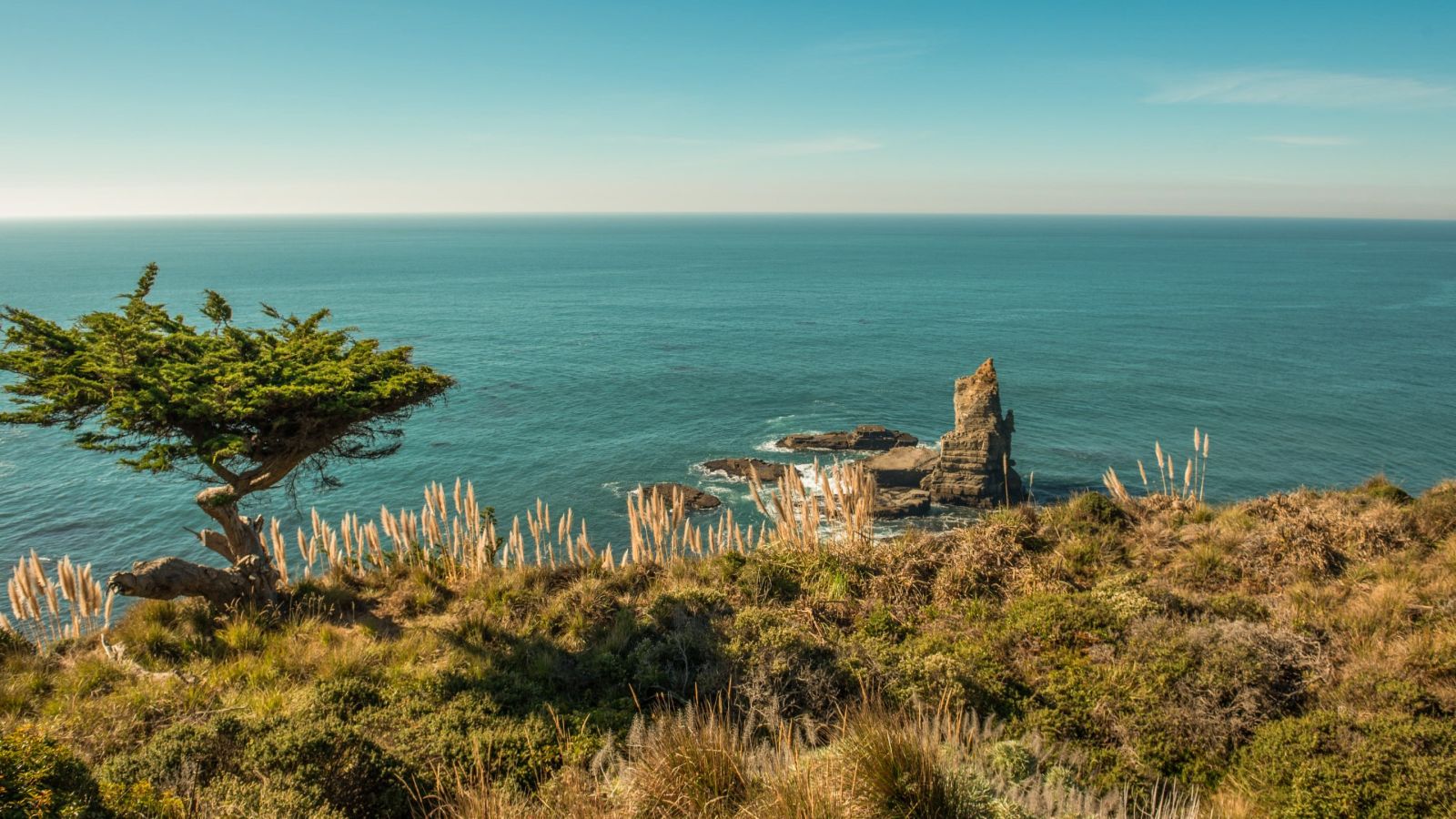 The Northern California coast at sunset
