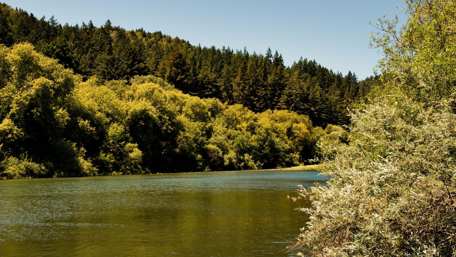 The Russian River at golden hour