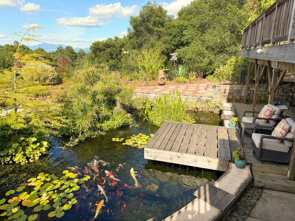 Hummingway Ranch Main Image